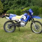 dz125-blue